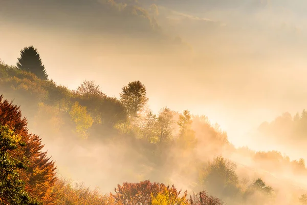 山の中で霧と秋の風景。丘の上の平らな森。カルパチア人,ウクライナ,ヨーロッパ — ストック写真