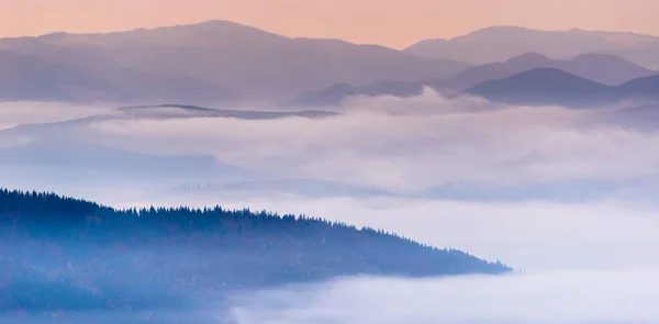 Herbstliche Landschaft mit Nebel in den Bergen. Tannenwald auf den Hügeln. Karpaten, Ukraine, Europa — Stockfoto