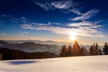 Dağ Kış Manzarası. Çam Ağacı Ormanı Kış Manzarasında Karla kaplı