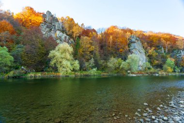 Sonbaharda şelalenin manzarası. Sonbahar renklerinde şelale. Sonbahar manzarasında dağ nehri. Ukrayna, Stryj Nehri.