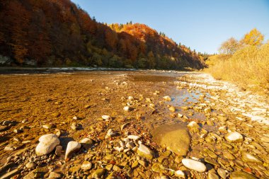 Sonbaharda şelalenin manzarası. Sonbahar renklerinde şelale. Sonbahar manzarasında dağ nehri. Ukrayna, Stryj Nehri.