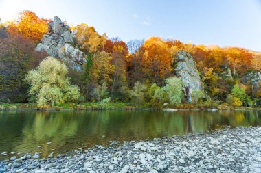 Sonbaharda şelalenin manzarası. Sonbahar renklerinde şelale. Sonbahar manzarasında dağ nehri. Ukrayna, Stryj Nehri.