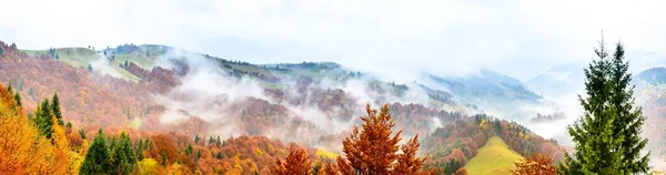 Herbstliche Landschaft mit Nebel in den Bergen. Tannenwald auf den Hügeln. Karpaten, Ukraine, Europa — Stockfoto