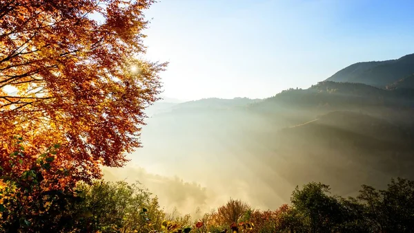 Herfstlandschap met mist in de bergen. Vuurbos op de heuvels. Karpaten, Oekraïne, Europa — Stockfoto