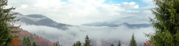 Paysage d'automne avec brouillard dans les montagnes. La forêt de sapins sur les collines. Carpates, Ukraine, Europe — Photo