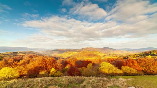 Tal des Sonnenuntergangs im Herbst. Nahaufnahme des Sonnenuntergangs eines dichten goldenen Espenhains in einem Tal am Fuße der hohen Gipfel der Karpaten an einem windigen Herbsttag. Ukraine. — Stockvideo