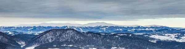 Szczyt górski ze śniegiem wiejącym wiatrem. Zimowy krajobraz. Zimny dzień, ze śniegiem. — Zdjęcie stockowe