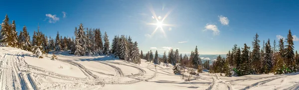 Maravilhosamente majestosa paisagem de inverno brilhando pela luz solar. cena invernal. Cárpatos, Ucrânia, Europa. Mundo da beleza. Feliz Ano Novo — Fotografia de Stock