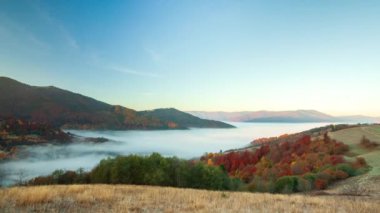 Sonbahar dağlarında güneşin doğuşunda destansı bir uçuş. Sarı ve kırmızı sonbahar ağaçları, arka planda sabah sisi. Sonbahar doğa ormanı geçmişi