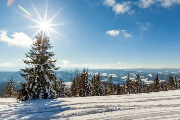 Herrlich majestätische Winterlandschaft, die vom Sonnenlicht erleuchtet wird. winterliche Szene. Karpaten, Ukraine, Europa. Schöne Welt. Frohes neues Jahr — Stockfoto