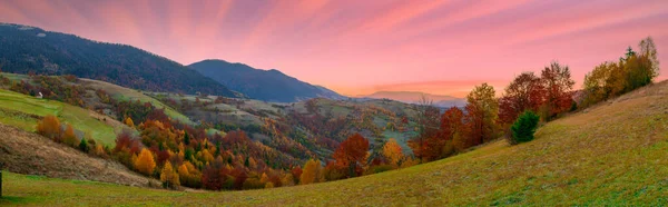 Güneşin altında parlayan dağların muhteşem manzarası. Dramatik sabah sahnesi. Carpathian Ulusal Parkı, Synevyr Geçidi, Ukrayna, Avrupa. Sanatsal resim. Güzellik dünyası. Sıcak tonlama efekti. — Stok fotoğraf