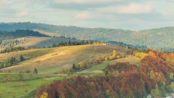 Carpazi, Ucraina. Paesaggio autunnale con nebbia in montagna. Foresta di abeti sulle colline. Albero di Natale solitario su un prato. Europa Shipit Carpazi Parco Nazionale. — Video Stock