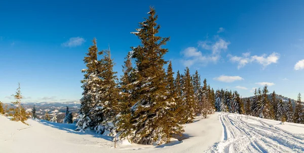 Maravilhoso Cenário Inverno Dia Ensolarado Paisagem Inverno Com Neve Coberto — Fotografia de Stock