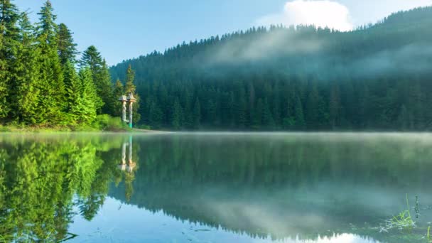 Hermosa naturaleza y un paisaje maravilloso con exuberantes bosques verdes y vegetación alrededor de la perla de los Cárpatos Lago Synevyr. Cárpatos en Ucrania. Niebla mística sobre los grandes abetos. — Vídeos de Stock