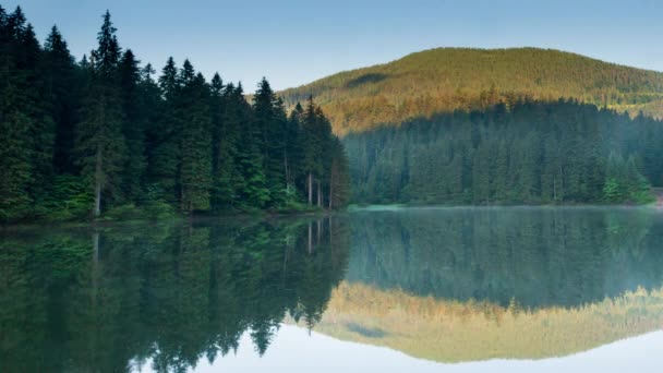 Beautiful Nature Wonderful Landscape Lush Green Forests Vegetation Pearl Carpathians — Stock Video