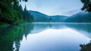 Güzel doğa ve bereketli yeşil ormanlar ve Karpatlar 'ın incisinin etrafındaki bitki örtüsüyle harika bir manzara - Synevyr Gölü. Ukrayna 'daki Karpatlar. Büyük fırtınaların üzerinde mistik bir sis var. Yüksek