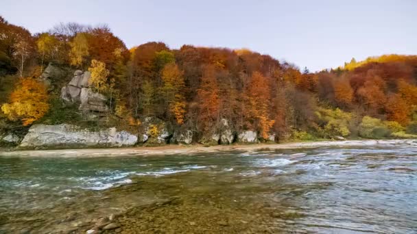 Mountain River Rapids Running Water Autumn Mountain Stream Natural Stream — Stockvideo
