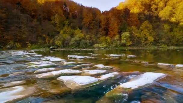 Peřeje Horské Řeky Tekoucí Vodou Podzimní Horský Potok Přirozený Proud — Stock video