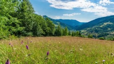 Güneş, Karpat Dağları 'nın Synevir geçidinde. Tepedeki çimenler. Carpathian dağlarındaki kırsal muhteşem manzara. Synevyr Geçidi 'nde dinlenme yeri, Carpathian sıradağları.