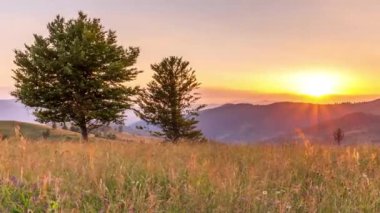 Gün batımında harika bir orman ve çimenli çayır. Altın güneş ufukta beliriyor, günün sonunda. Tepeler ve çayırlarda güneş ışığı altında karışık ormanlar. Synevyr Geçidi, Karpatlar 'da dinlenme yeri