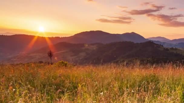 Sun Synevir Pass Carpathian Mountain Ranges High Grass Hill Rural — Stockvideo