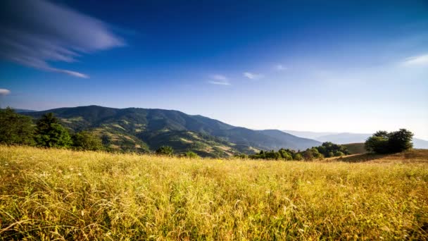 Sun Synevir Pass Carpathian Mountain Ranges High Grass Hill Rural — Stockvideo