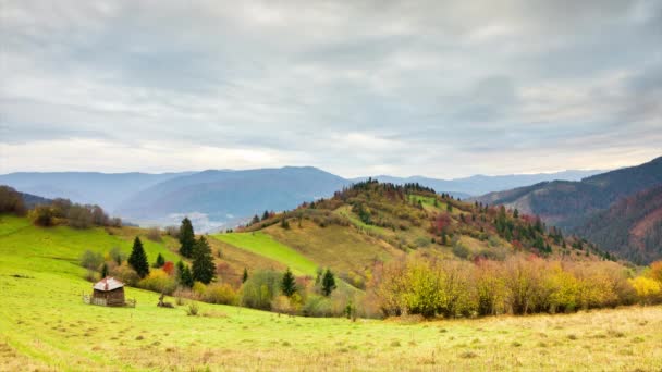 Wspaniały Jesienny Krajobraz Pięknym Błękitnym Niebem Majestatycznymi Chmurami Las Zachód — Wideo stockowe