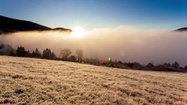 Солнце Встает Вершины Горы Туман Движется Встает Рассвете Летнее Утро — стоковое видео