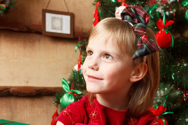 Bella Ragazza Con Abete — Foto Stock