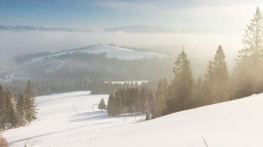 Kış ormanı anteninde gün doğumu. Donuk hiç kimse doğa manzarası. Alp karı sabah sisinde ağaçları kapladı. Nefes kesici doğal güzellik. Güneş pembe ışıkta doğar. Çam Ormanı
