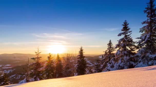 Hermoso Paisaje Invierno Las Montañas Sol Naciente Atraviesa Las Ramas — Vídeos de Stock