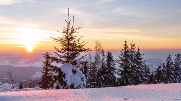 山中美丽的冬季风景 升起的太阳从覆盖在冷杉树枝上的雪中破晓而出 地面和树木覆盖着厚厚的一层新鲜蓬松的雪 — 图库视频影像