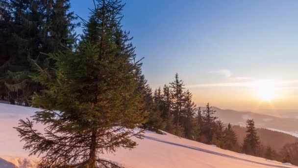 山の中で美しい冬の風景 太陽がモミの木の枝を覆って雪を突破します 新雪の厚い層で覆われた地面や木 — ストック動画