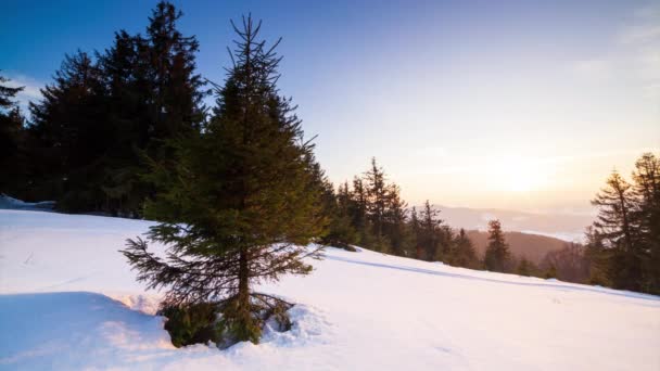 Όμορφο Χειμερινό Τοπίο Στα Βουνά Ήλιος Διαπερνά Καλυμμένα Χιόνι Κλαδιά — Αρχείο Βίντεο