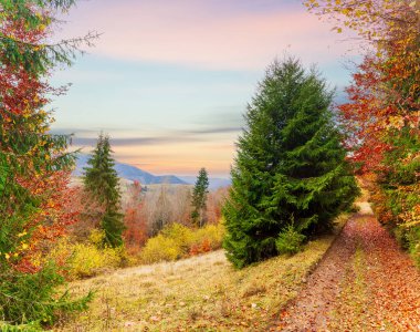 Karpatlar, Ukrayna. Sonbahar ormanı gölünün üzerindeki bulutlu gökyüzünde gün batımı. Kıyıdan görüntü, turuncu-sarı renkli görüntü. Yüksek kalite fotoğraf
