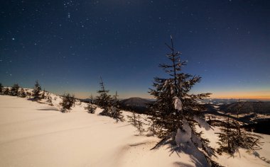 Karla kaplı ağaçlı büyülü kış manzarası. Yıldızlar, nebula ve galaksiyle dolu canlı bir gece göğü. Derin gökyüzü gökyüzü fotoğrafı