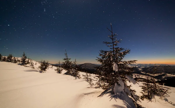 Paisagem Mágica Inverno Com Árvore Coberta Neve Céu Noturno Vibrante — Fotografia de Stock