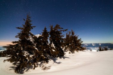 Karla kaplı ağaçlı büyülü kış manzarası. Yıldızlar, nebula ve galaksiyle dolu canlı bir gece göğü. Derin gökyüzü gökyüzü fotoğrafı