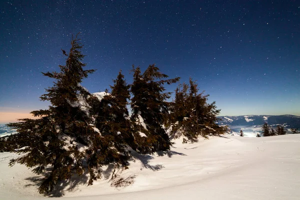 Paisaje Mágico Invierno Con Árbol Cubierto Nieve Cielo Nocturno Vibrante Fotos de stock