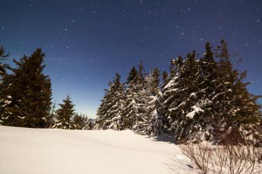 Karla kaplı ağaçlı büyülü kış manzarası. Yıldızlar, nebula ve galaksiyle dolu canlı bir gece göğü. Derin gökyüzü gökyüzü fotoğrafı