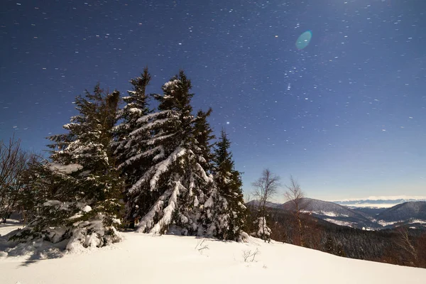 Paisagem Mágica Inverno Com Árvore Coberta Neve Céu Noturno Vibrante — Fotografia de Stock