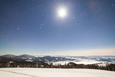 Karla kaplı ağaçlı büyülü kış manzarası. Yıldızlar, nebula ve galaksiyle dolu canlı bir gece göğü. Derin gökyüzü gökyüzü fotoğrafı