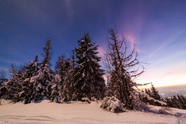 Paisagem Mágica Inverno Com Árvore Coberta Neve Céu Noturno Vibrante — Fotografia de Stock