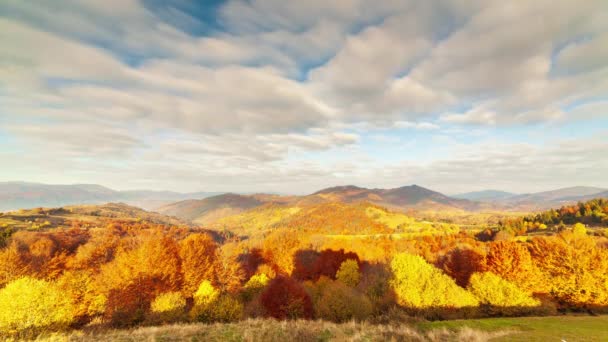 Valle Del Tramonto Autunnale Primo Piano Del Tramonto Denso Pioppo — Video Stock