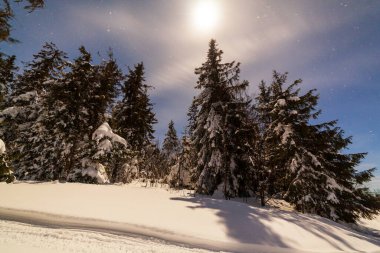 Karla kaplı ağaçlı büyülü kış manzarası. Yıldızlar, nebula ve galaksiyle dolu canlı bir gece göğü. Derin gökyüzü gökyüzü fotoğrafı