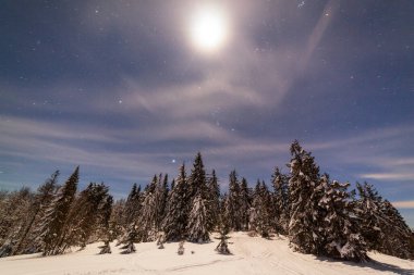 Karla kaplı ağaçlı büyülü kış manzarası. Yıldızlar, nebula ve galaksiyle dolu canlı bir gece göğü. Derin gökyüzü gökyüzü fotoğrafı