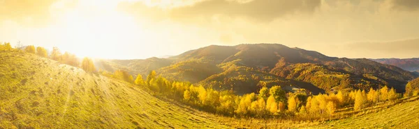 Ukraine Sunrise Shines Carpathians Colored Fog Spreads Valleys Lowlands Mountain — Stock Photo, Image
