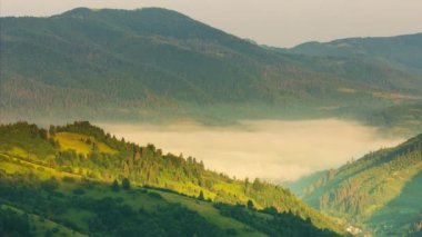 Wonderful summer forest at sun mountain range. Nobody nature landscape at fall season. Carpathian village on mount valley. Sunrise rays through fog and clouds. Country rest on the Synevyr Pass