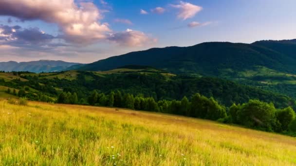 Sun Synevir Pass Carpathian Mountain Ranges High Grass Hill Rural — Stok video