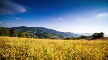 Güneş, Karpat Dağları 'nın Synevir geçidinde. Tepedeki çimenler. Carpathian dağlarındaki kırsal muhteşem manzara. Synevyr Geçidi 'nde dinlenme yeri, Carpathian sıradağları.
